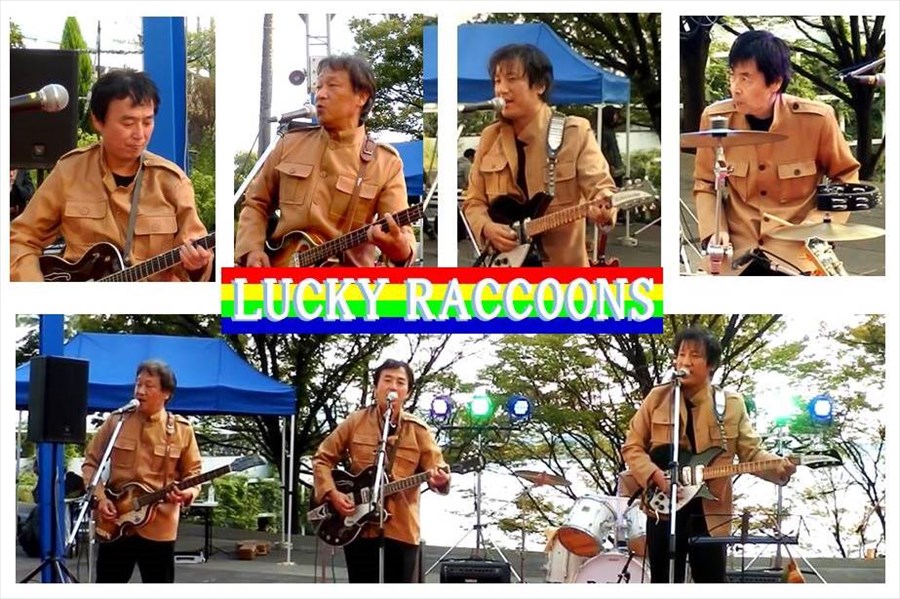 Lucy Raccoons